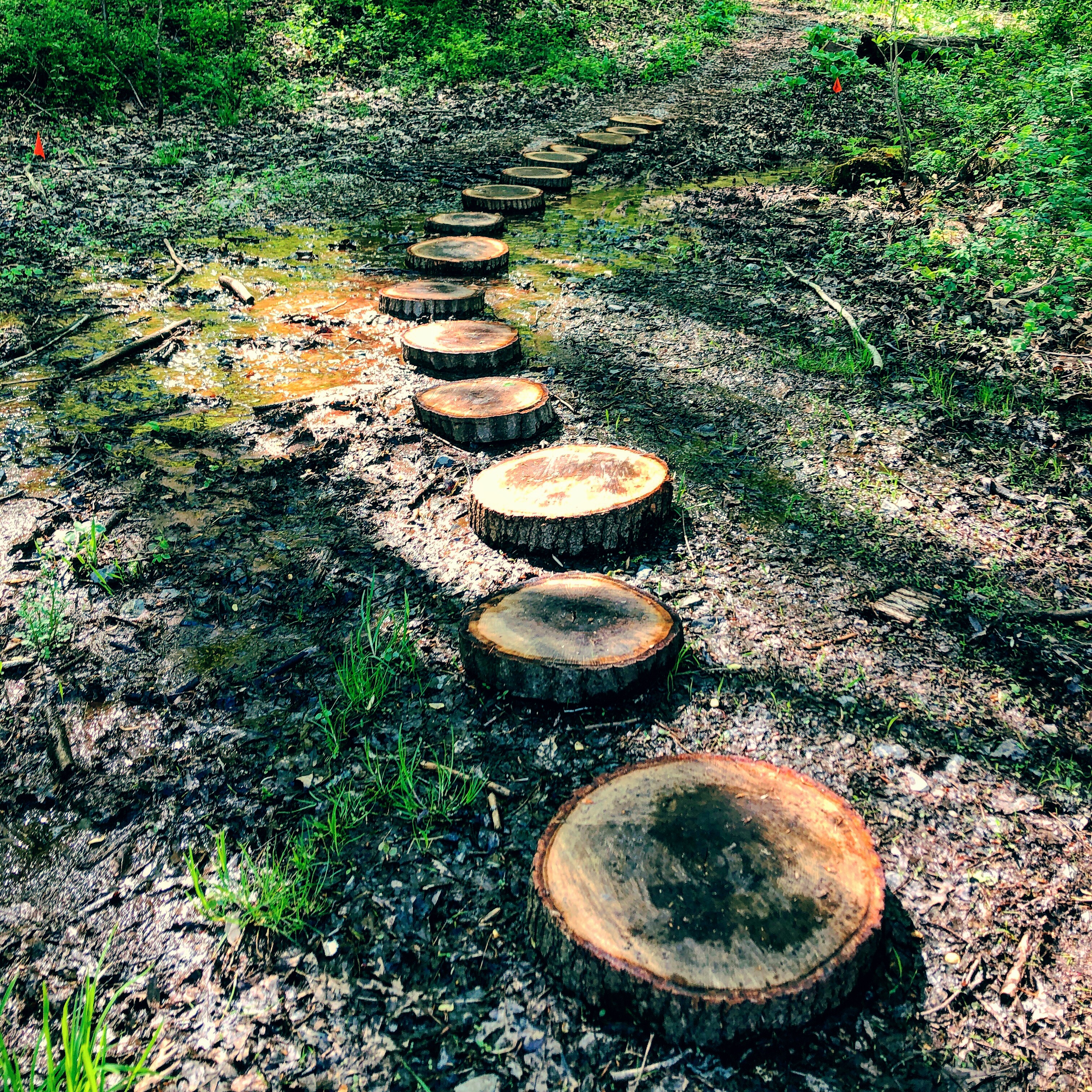 Wooden stepping "stones" help hikers avoid some muddy portions of Horse-shoe Trail at Middle Creek.