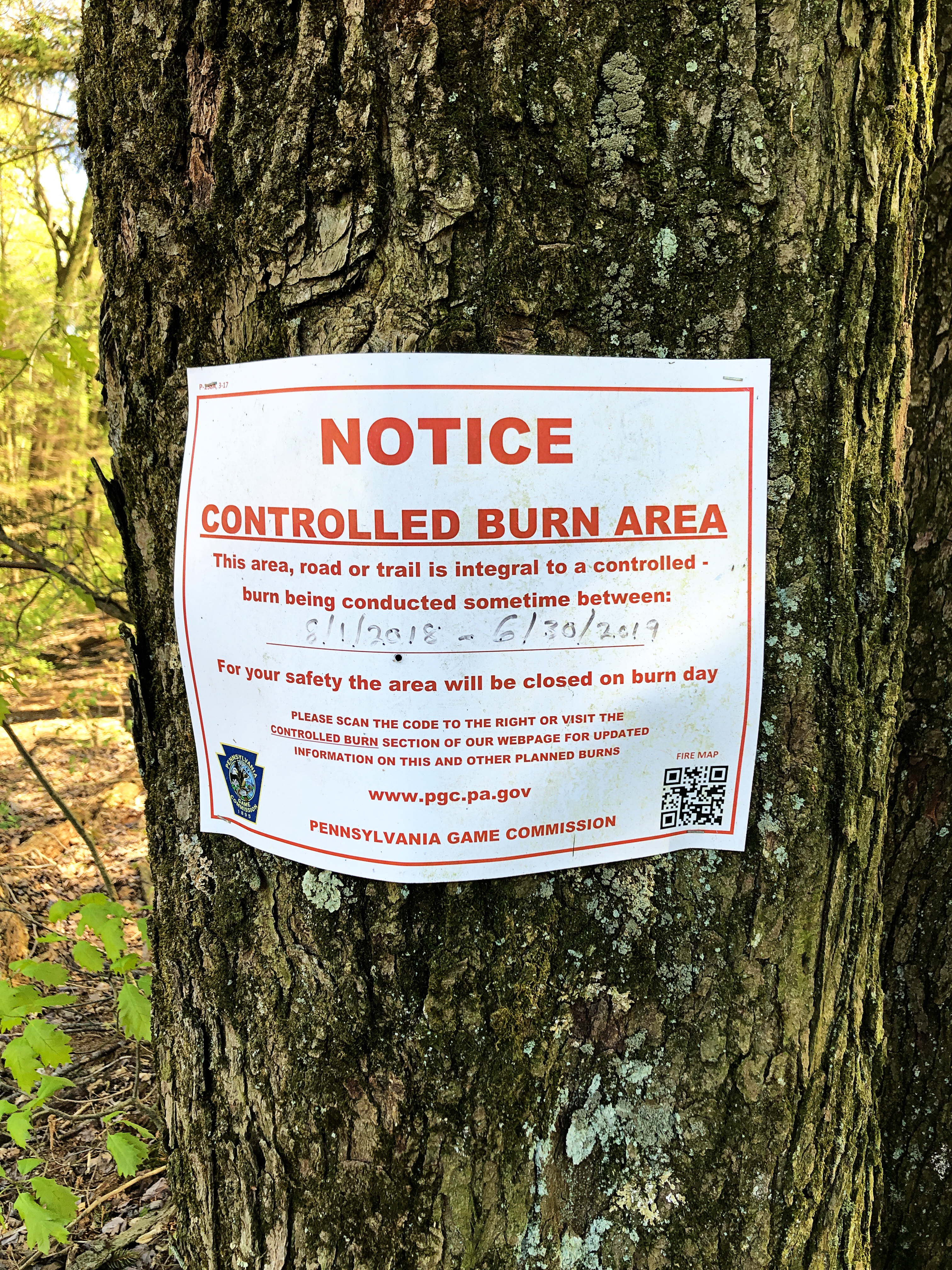 Invasive plants are making real headway in the Middle Creek Wildlife Management Area, and controlled burns are frequently scheduled to curb further growth.